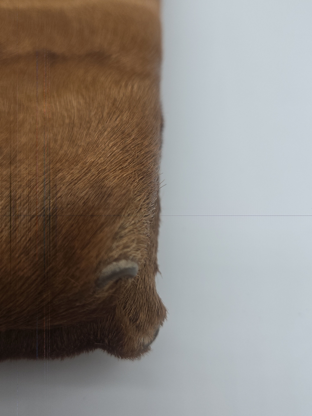 Prada Brown Pony Hair Shoulder Bag - Picture 6 of 16